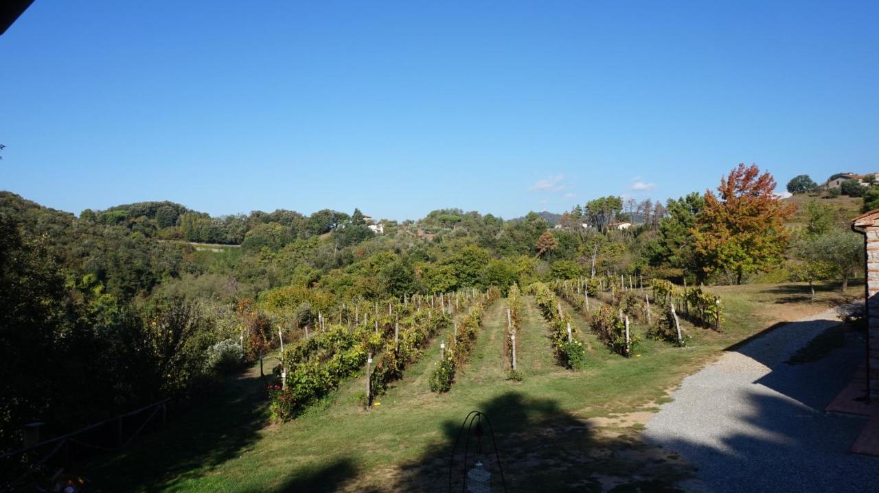 Agriturismo Le Vallilunghe Apartman Lucca Kültér fotó
