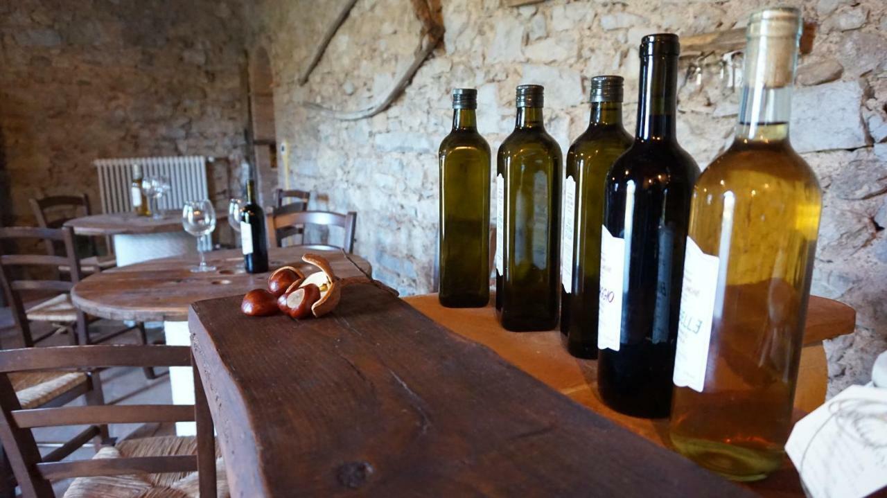 Agriturismo Le Vallilunghe Apartman Lucca Kültér fotó